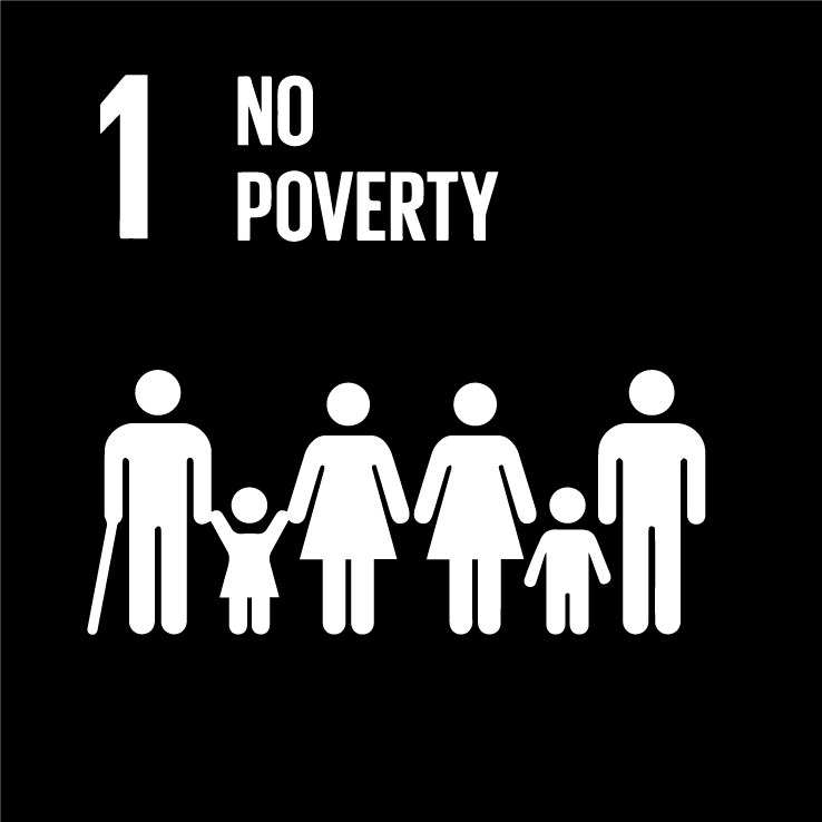 No Poverty