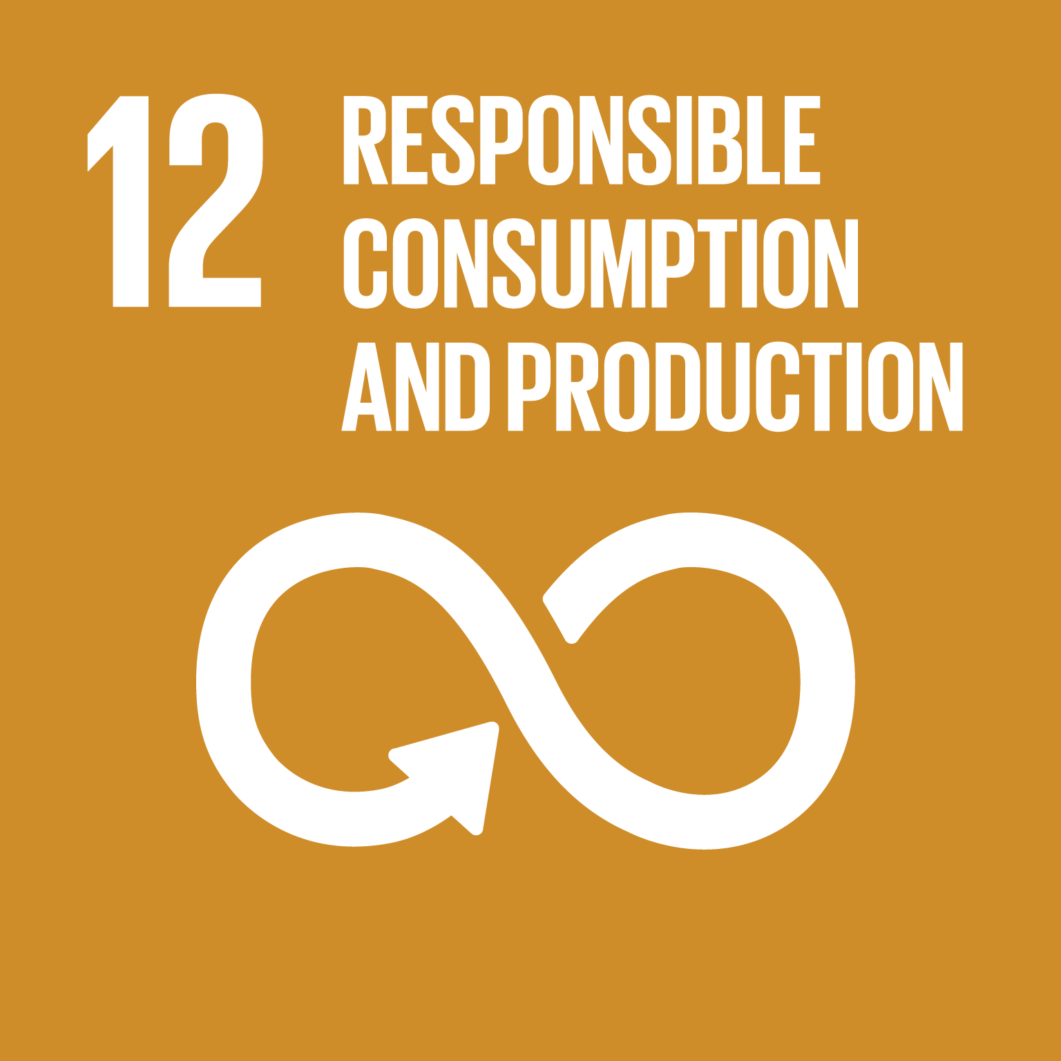 icon for Goal 12 - Ensure sustainable consumption and production patterns