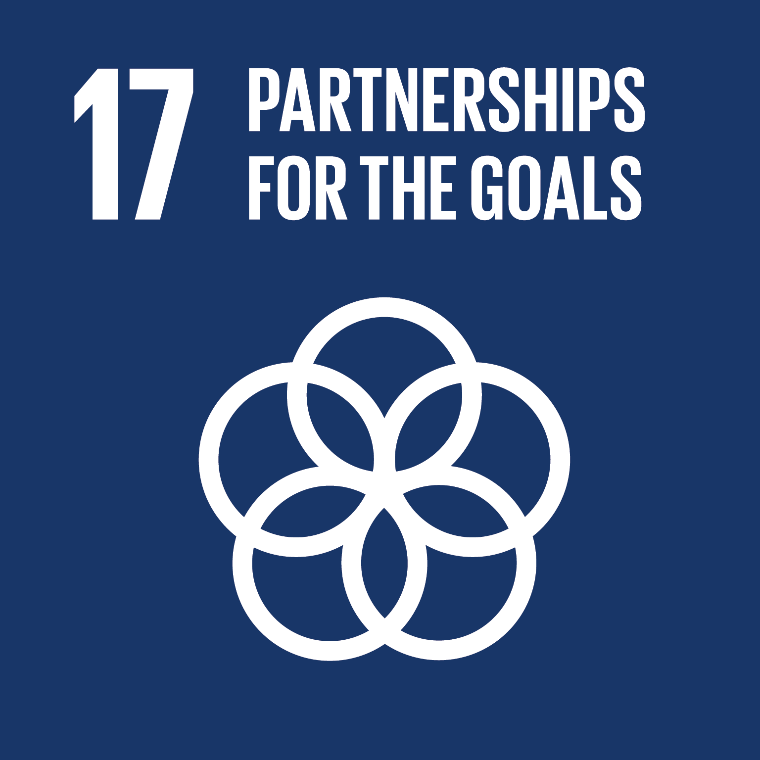 icon for Goal 17 - Strengthen the means of implementation and revitalize the global partnership for sustainable development