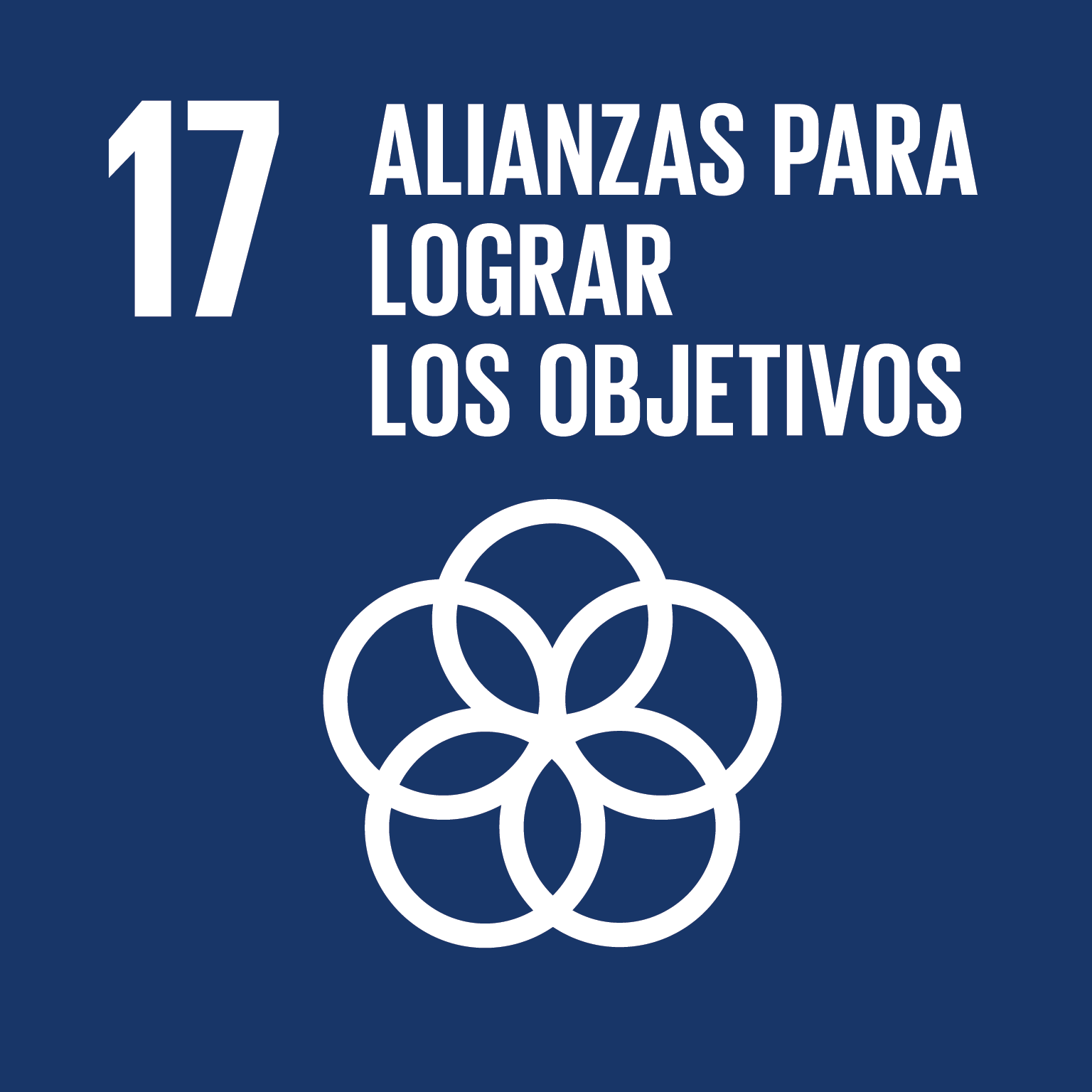 icon for Goal 17 - Strengthen the means of implementation and revitalize the global partnership for sustainable development
